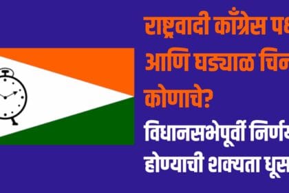 NCP Party Symbol Case