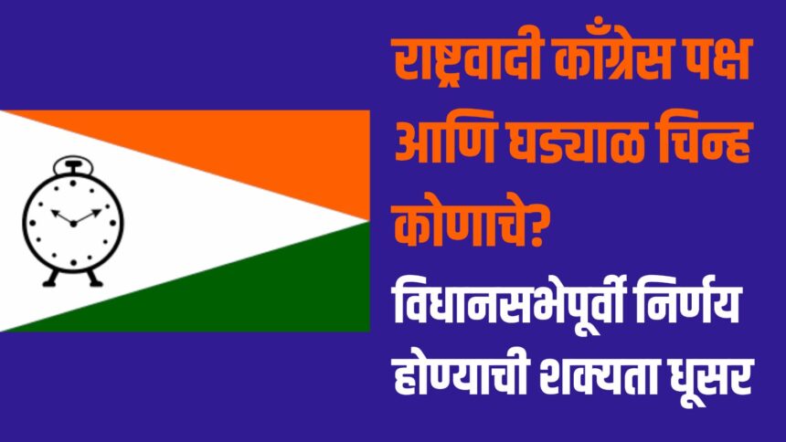 NCP Party Symbol Case