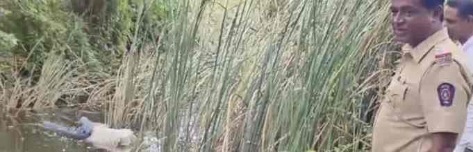 Crime | बुजगावण्याने घातला सरकारी वेळ वाया; यंत्रणा लावली कामाला 1 FB IMG 1751805247430
