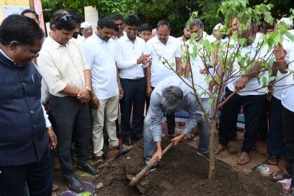 Biodiversity | वृक्ष संवर्धनाचे 'अंजनापुर मॉडेल 2 FB IMG 1752309998615