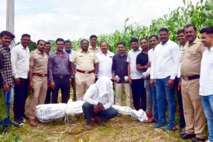 Crime | अवैध धंद्यांबाबत माहिती देणाऱ्याचे नाव गोपनीय ठेवले जाईल- पोलिस प्रशासन; दहा किलोहून अधिक गांजा जप्त 14 IMG 20250715 WA0037