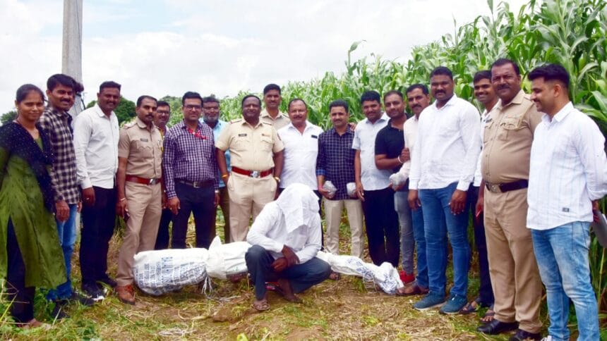 Crime | अवैध धंद्यांबाबत माहिती देणाऱ्याचे नाव गोपनीय ठेवले जाईल- पोलिस प्रशासन; दहा किलोहून अधिक गांजा जप्त 1 IMG 20250715 WA0037
