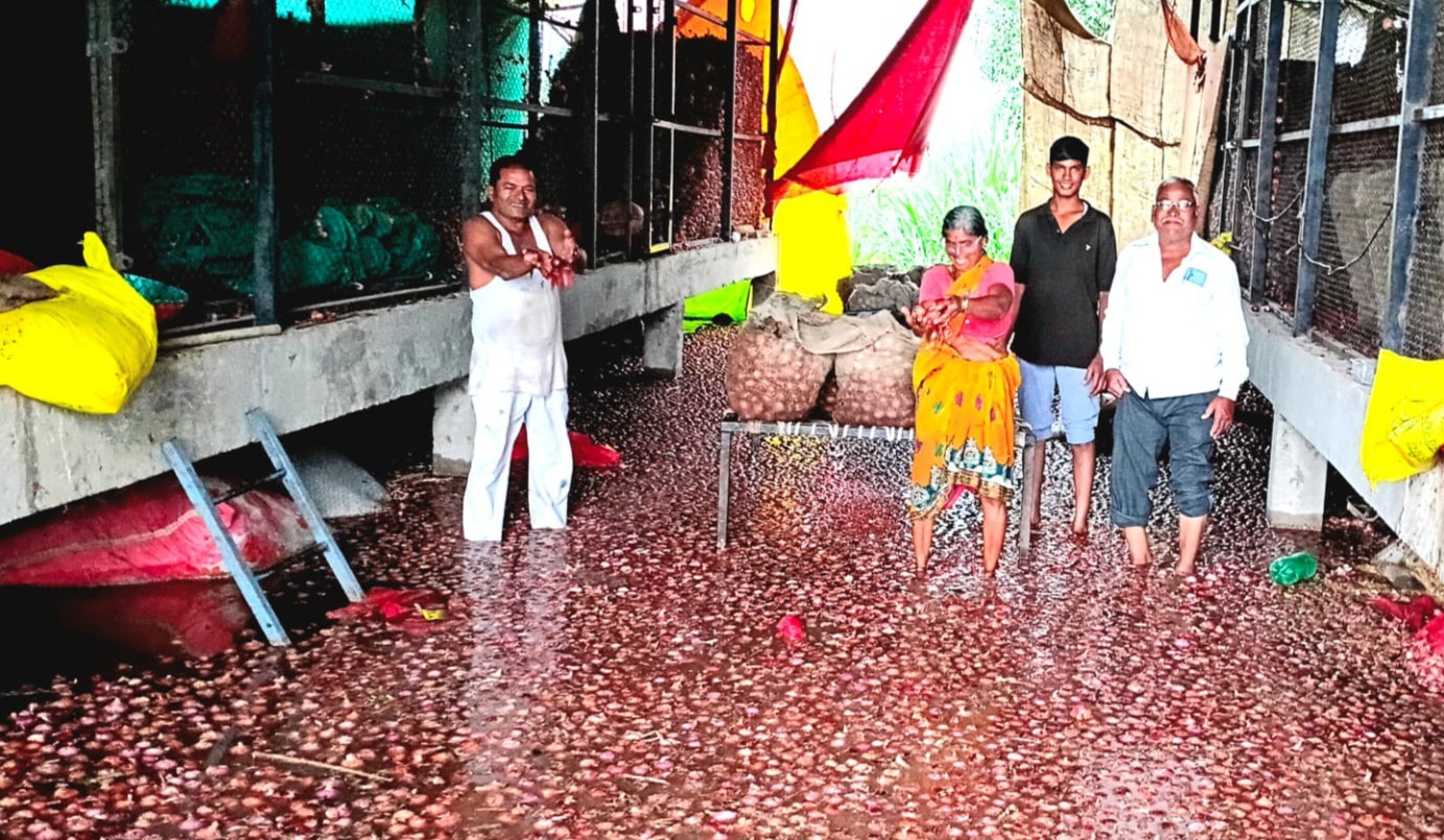 Disaster Management | अतिवृष्टीचा कहर; शेतकऱ्यांचा दहा टनापेक्षा जास्त कांदा गेला वाहून, जनावरांचे गोठेही पाण्यात 14 IMG 20250928 WA0029