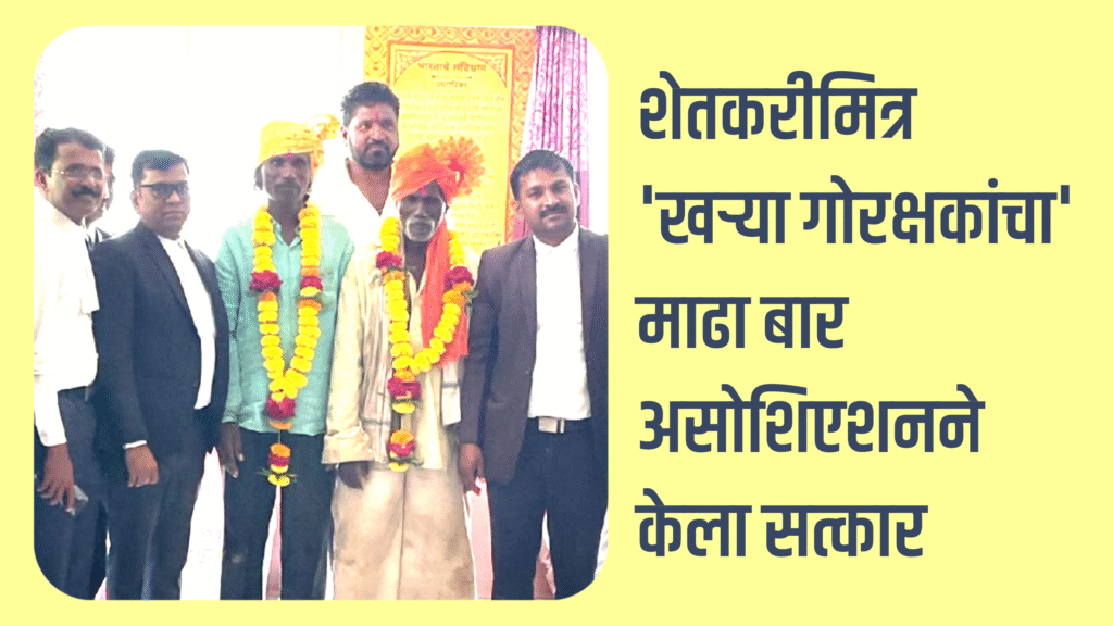 Social | शेतकरीमित्र ‘खऱ्या गोरक्षकांचा’ माढा बार असोशिएशनने केला सत्कार