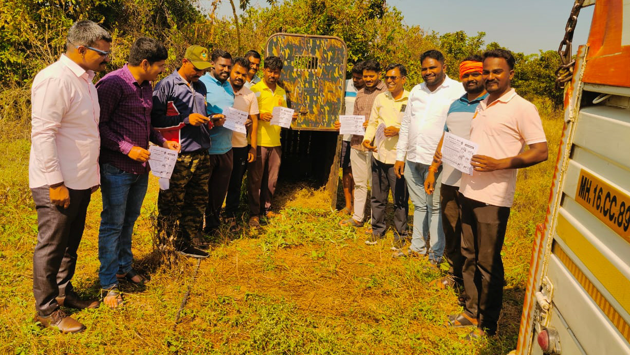 Public issue | पिंपळगाव माळवीत बिबट्याचा वाढता वावर? वनविभागाने लावला पिंजरा 2 Public issue