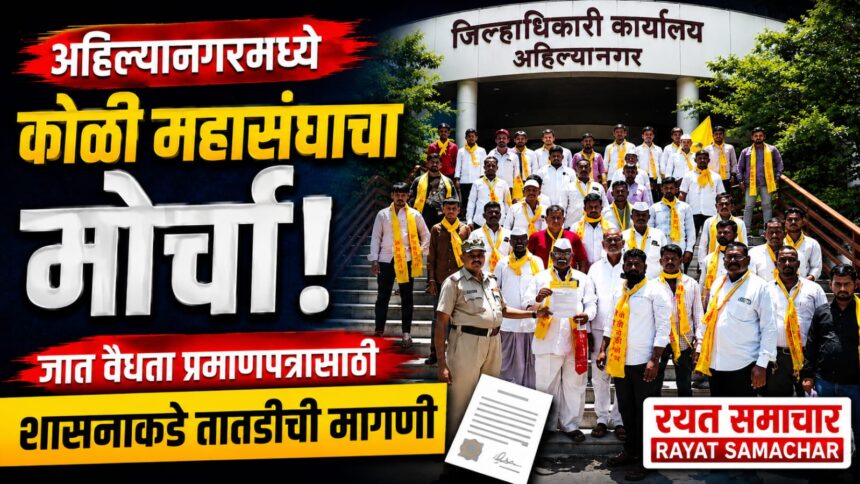 Public Issue