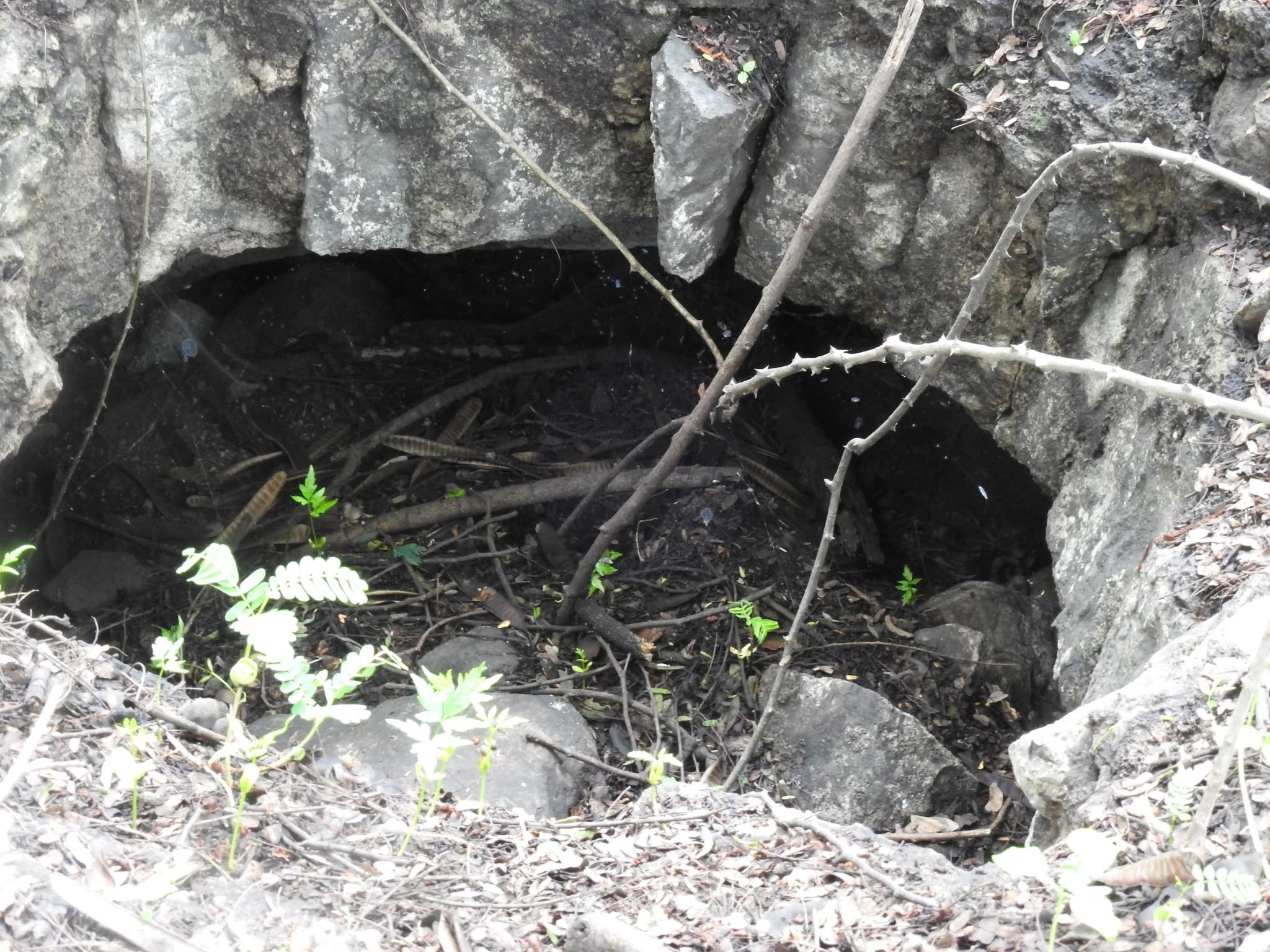 Sultana Chand Bibi Ahmednagar Fort Bagh Rauza Machhli Bawdi History